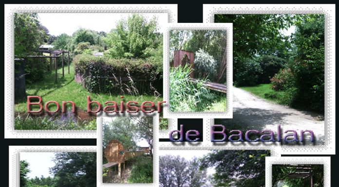 parc des berges nord